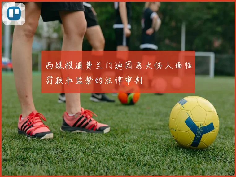 西媒报道费兰门迪因恶犬伤人面临罚款和监禁的法律审判