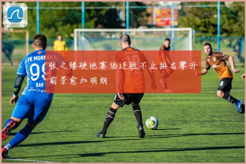 张之臻硬地赛场连胜不止排名攀升前景愈加明朗